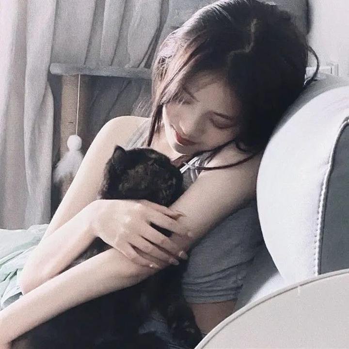 冷案